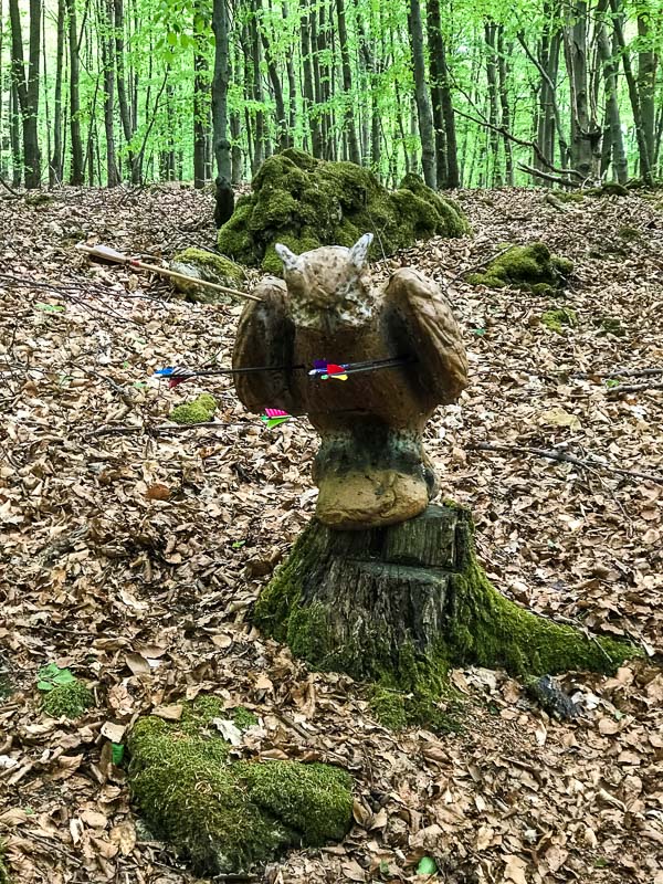 instarch 180428 3024 x 4032 4-bogenschiessen