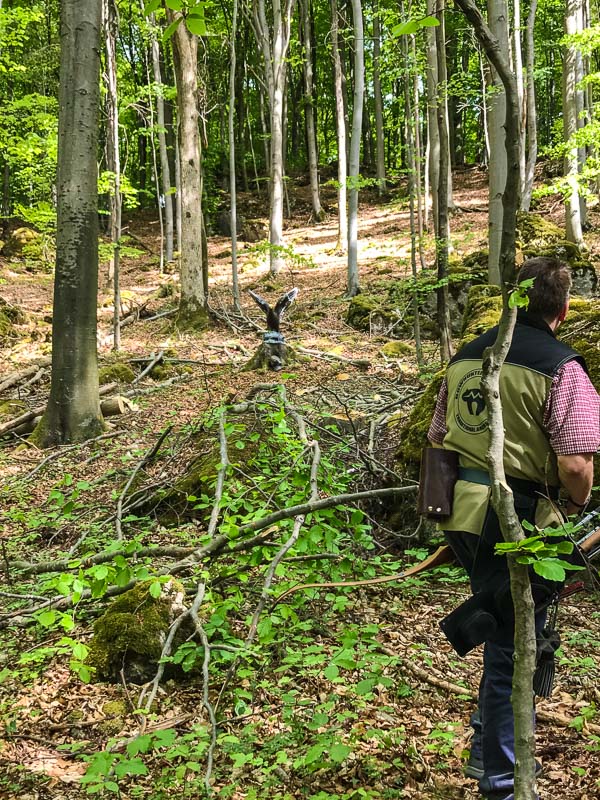 instarch 180428 3024 x 4032 8-bogenschiessen