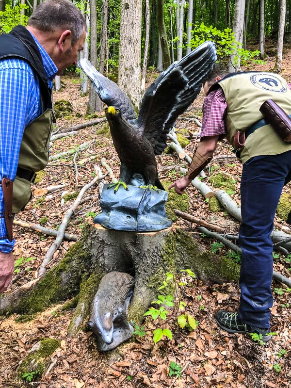 instarch 180428 3024 x 4032 9-bogenschiessen