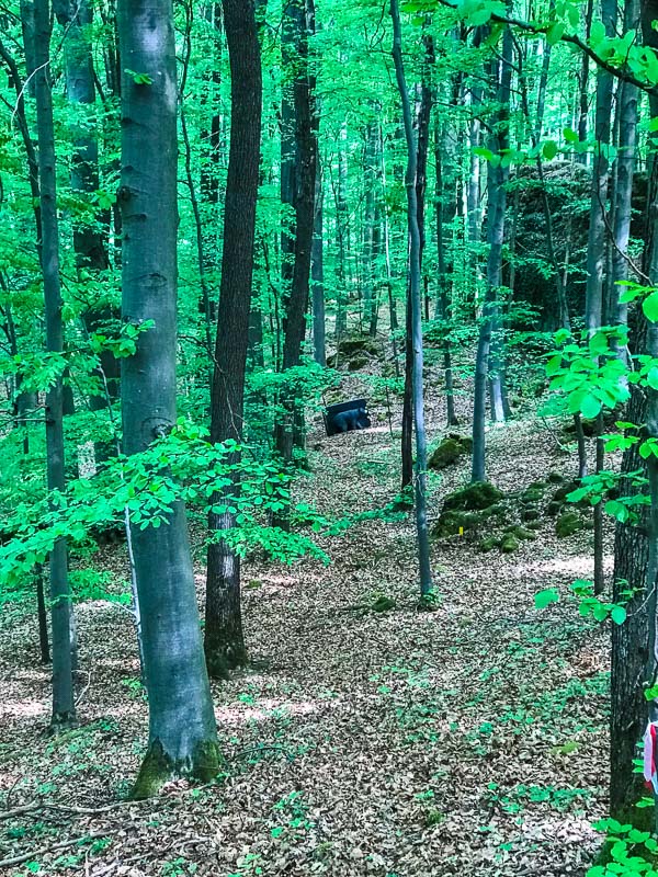 instarch 180428 3024 x 4032-bogenschiessen