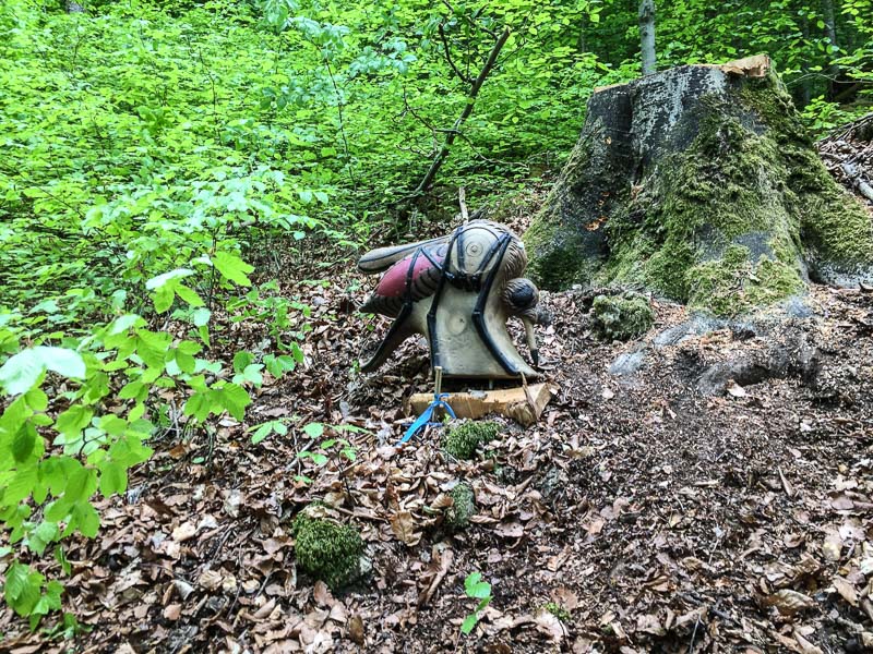 instarch 180428 3264 x 2448 15-bogenschiessen