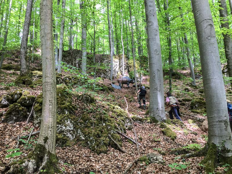 instarch 180428 3264 x 2448 23-bogenschiessen