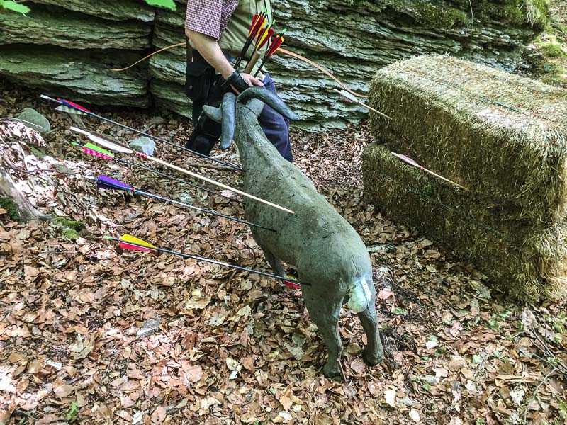 instarch 180428 3264 x 2448 27-bogenschiessen