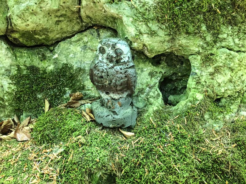 instarch 180428 3264 x 2448 29-bogenschiessen