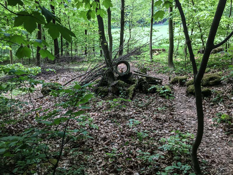 instarch 180428 3264 x 2448 35-bogenschiessen