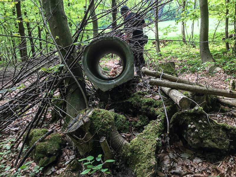 instarch 180428 3264 x 2448 36-bogenschiessen