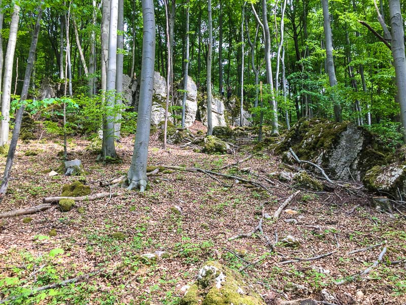 instarch 180428 3264 x 2448 4-bogenschiessen