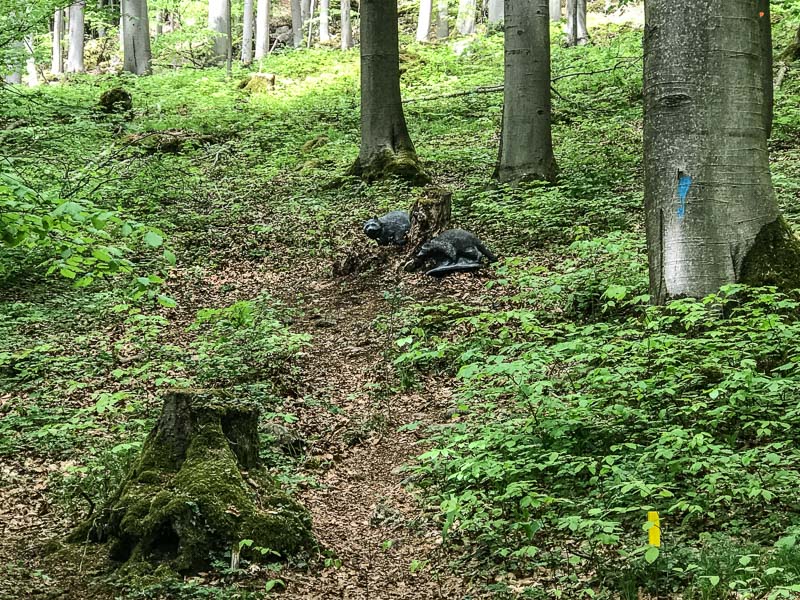 instarch 180428 4032 x 3024 10-bogenschiessen