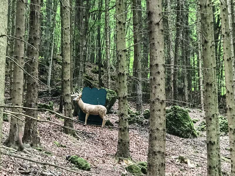 instarch 180428 4032 x 3024 13-bogenschiessen