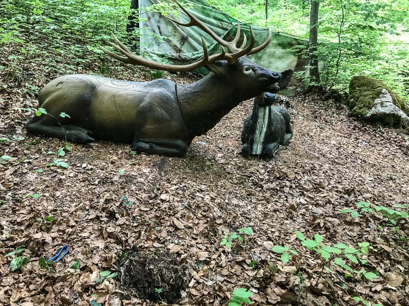 instarch 180428 4032 x 3024 6-bogenschiessen