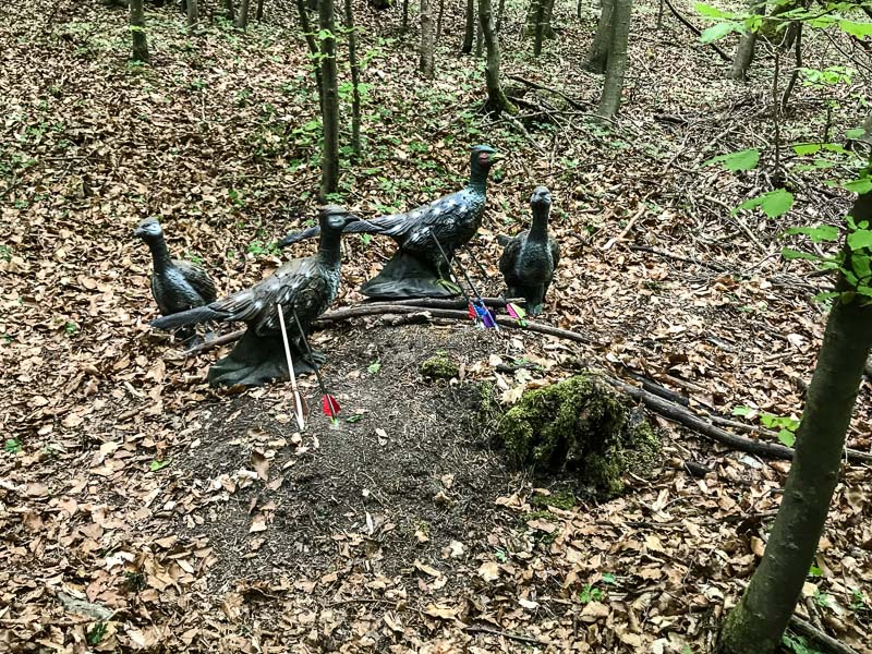 instarch 180428 4032 x 3024 7-bogenschiessen