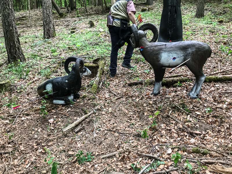 instarch 180428 4032 x 3024 8-bogenschiessen