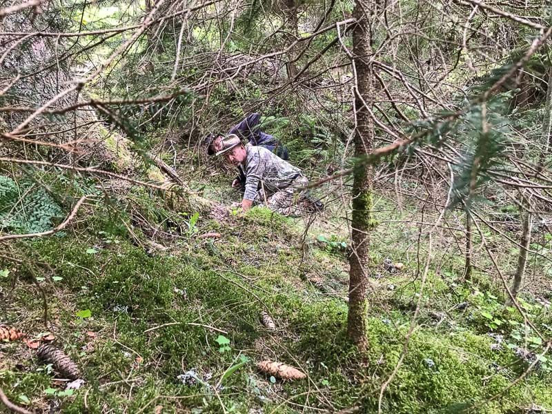 instarch 180503 4032 x 3024 3-bogenschiessen