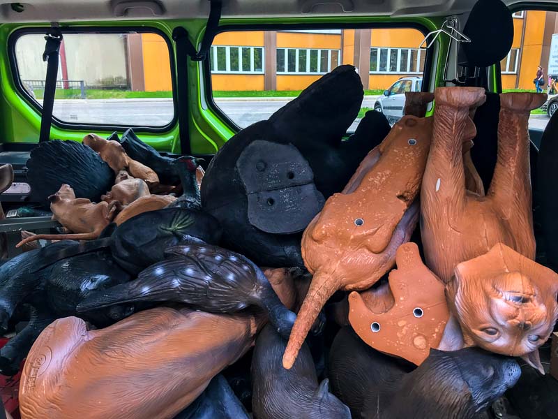 instarch 180503 4032 x 3024-bogenschiessen