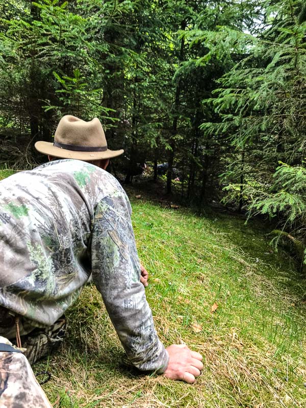 instarch 180504 3024 x 4032 4-bogenschiessen