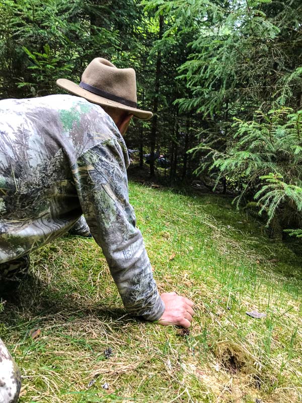 instarch 180504 3024 x 4032 5-bogenschiessen