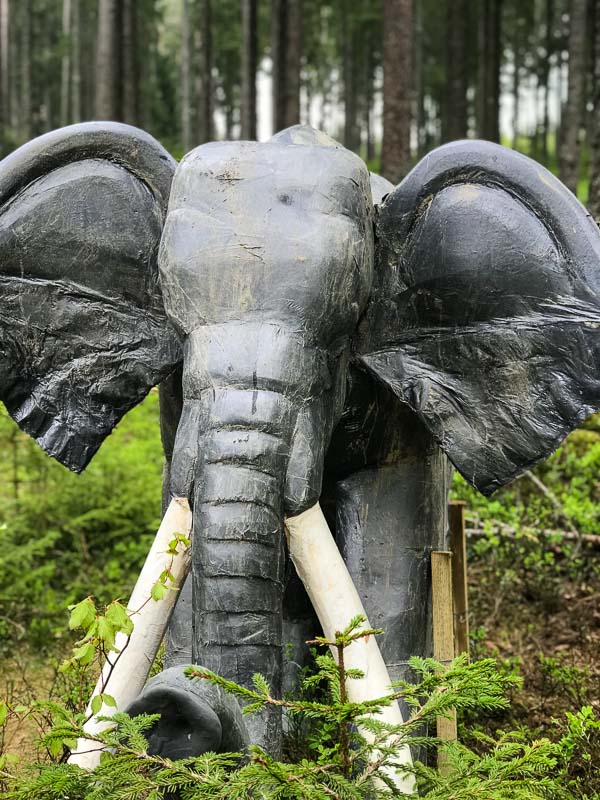 instarch 180504 3024 x 4032 6-bogenschiessen