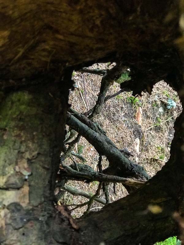 instarch 180504 3024 x 4032-bogenschiessen