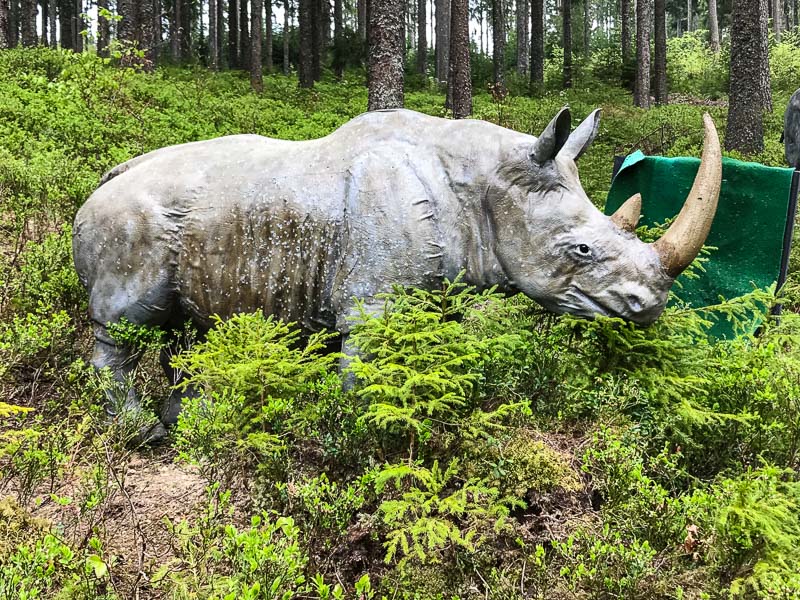 instarch 180504 4032 x 3024 5-bogenschiessen