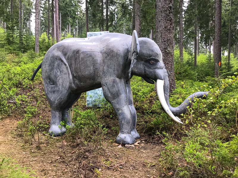 instarch 180504 4032 x 3024 6-bogenschiessen