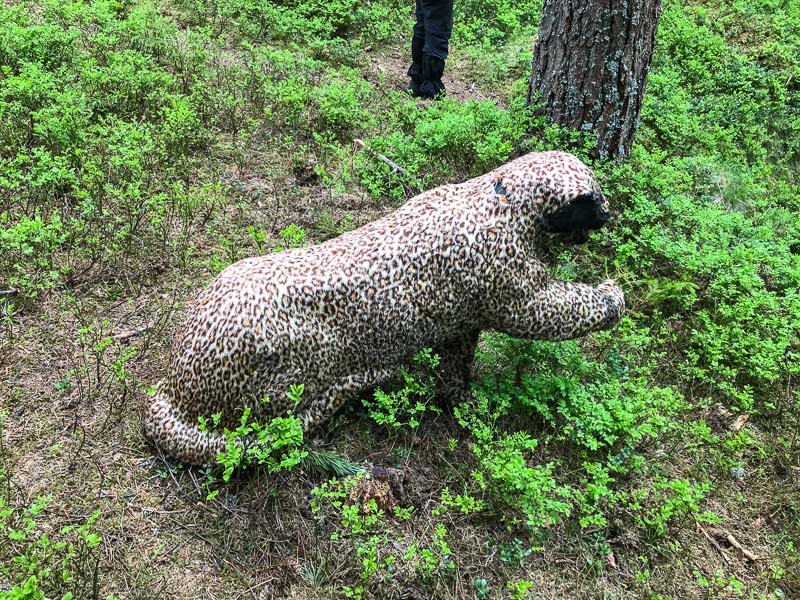 instarch 180504 4032 x 3024 7-bogenschiessen