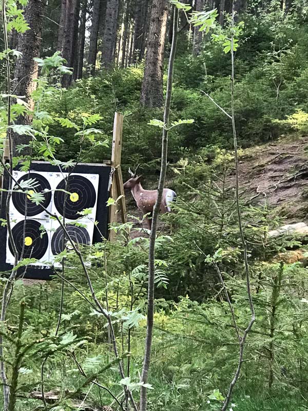 instarch 180506 3024 x 4032-bogenschiessen