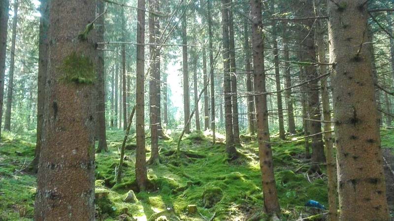 instarch 180509 1040 x 584 10-bogenschiessen