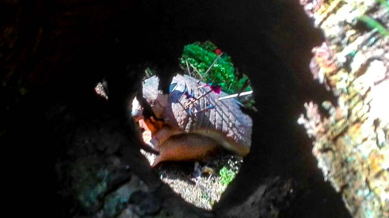 instarch 180509 1040 x 584 11-bogenschiessen