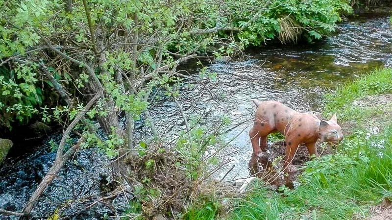 instarch 180509 1040 x 584 12-bogenschiessen