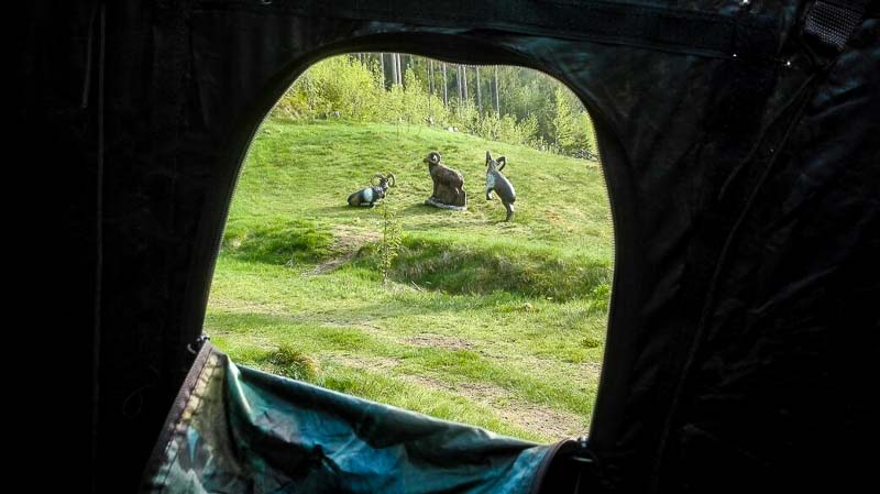 instarch 180509 1040 x 584 2-bogenschiessen