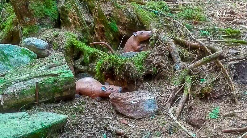 instarch 180509 1040 x 584 4-bogenschiessen