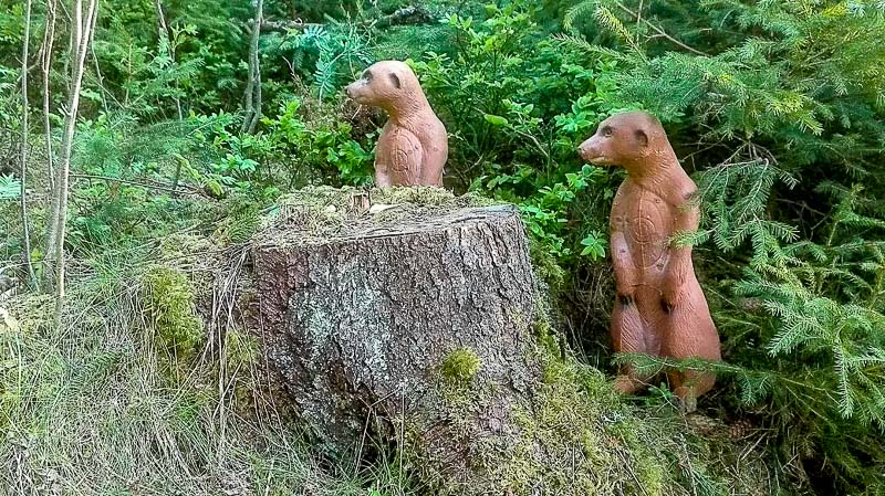 instarch 180509 1040 x 584 6-bogenschiessen