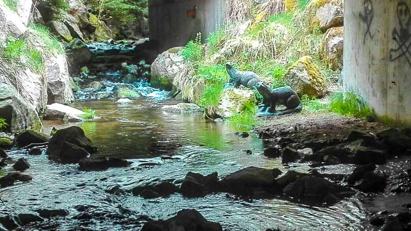 instarch 180509 1040 x 584 7-bogenschiessen