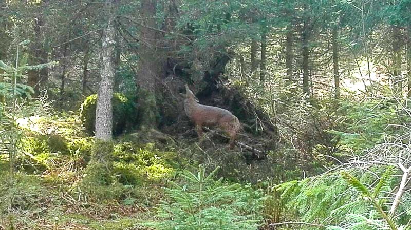 instarch 180509 1040 x 584 8-bogenschiessen