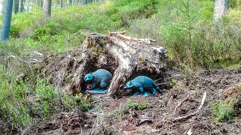 instarch 180509 1040 x 584 9-bogenschiessen