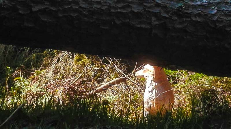 instarch 180509 1040 x 584-bogenschiessen