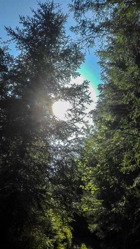 instarch 180509 584 x 1040-bogenschiessen