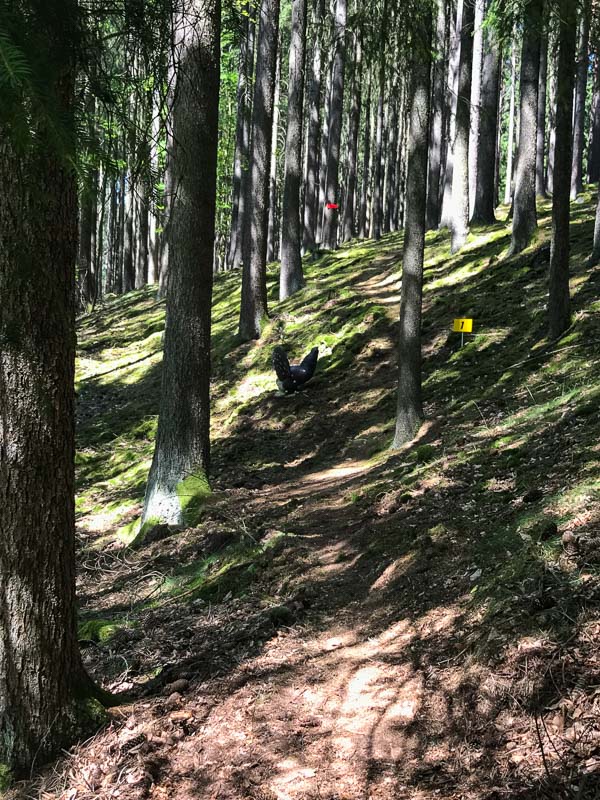 instarch 1330. Juli 2018-bogenschiessen
