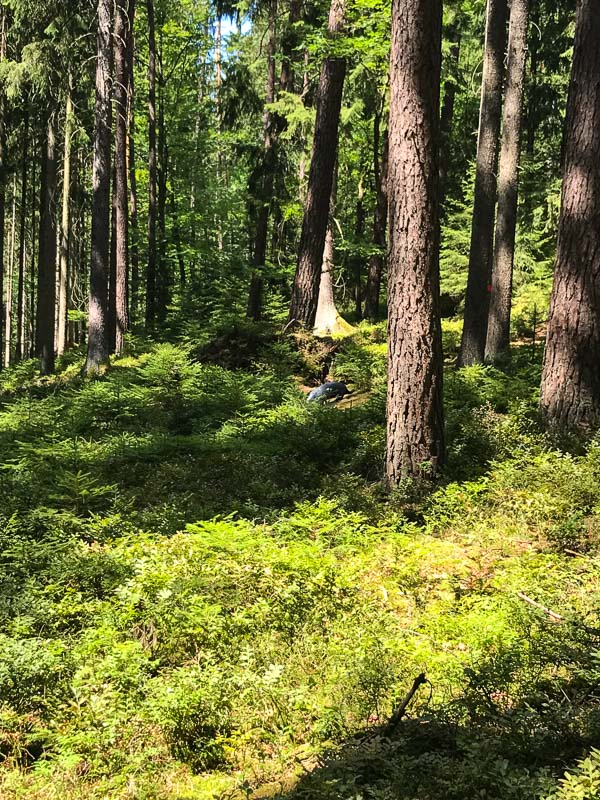 instarch 1730. Juli 2018-bogenschiessen