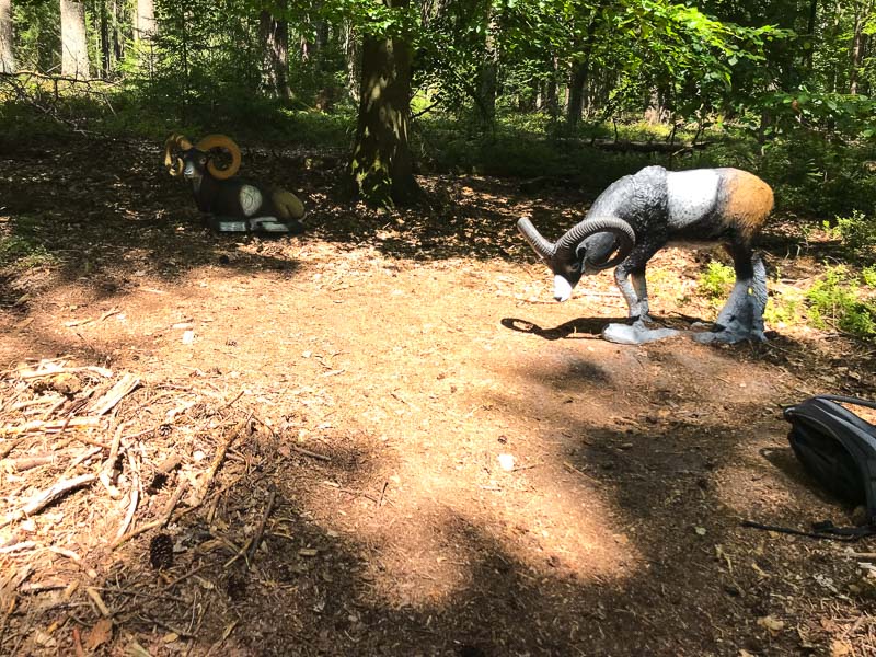 instarch 2730. Juli 2018-bogenschiessen