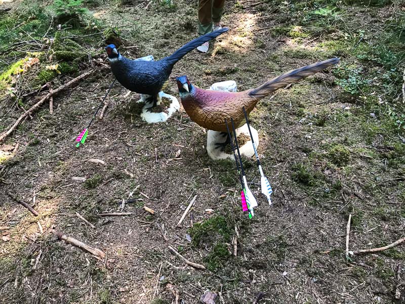 instarch 4030. Juli 2018-bogenschiessen