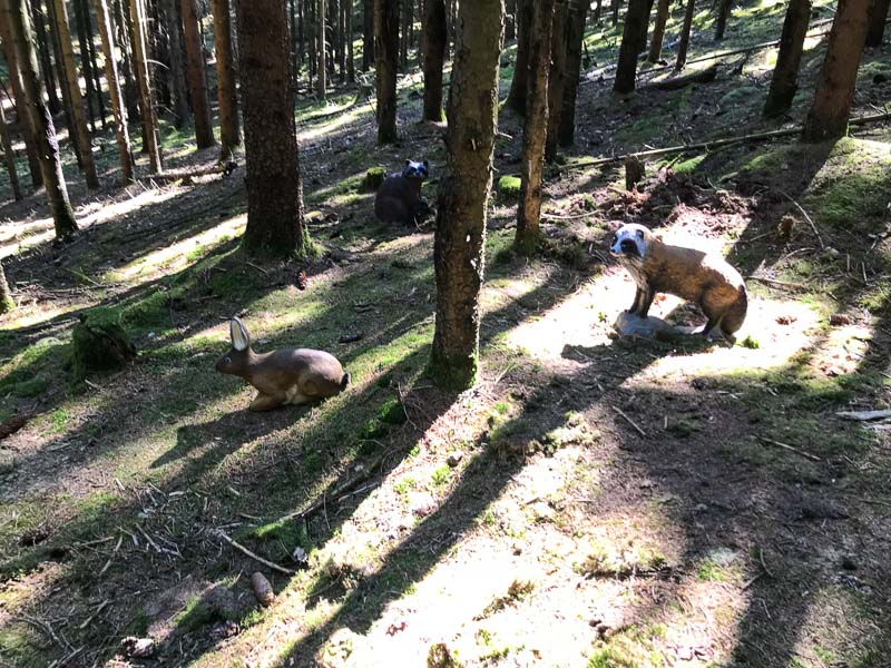 instarch 4930. Juli 2018-bogenschiessen