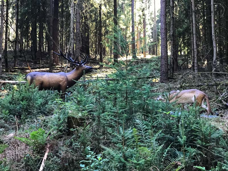 instarch 5830. Juli 2018-bogenschiessen