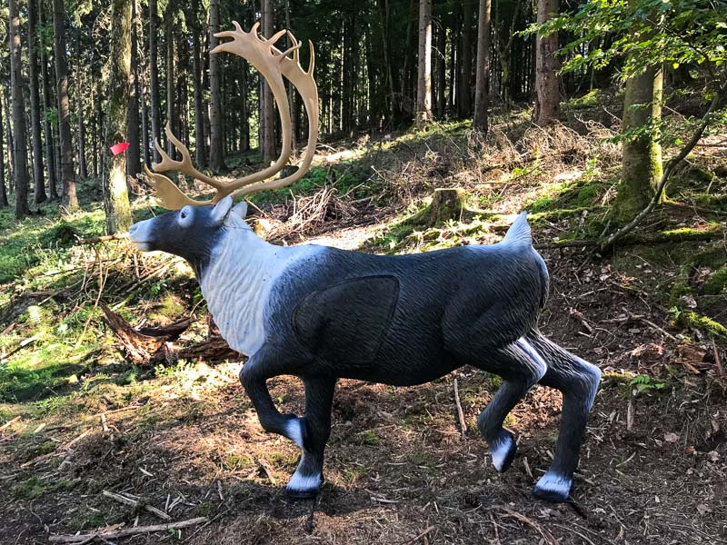 instarch 6530. Juli 2018-bogenschiessen