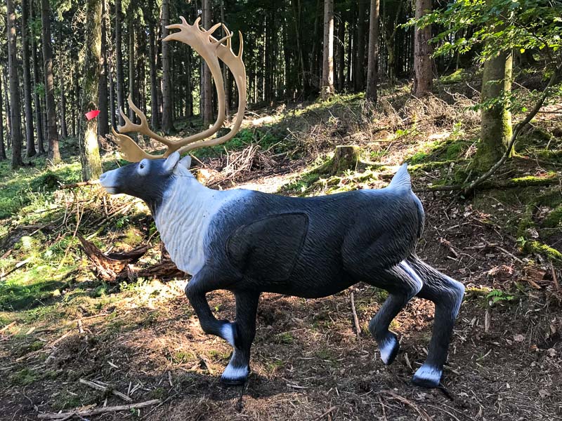 instarch 6630. Juli 2018-bogenschiessen
