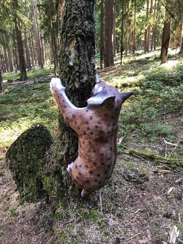instarch 7130. Juli 2018-bogenschiessen