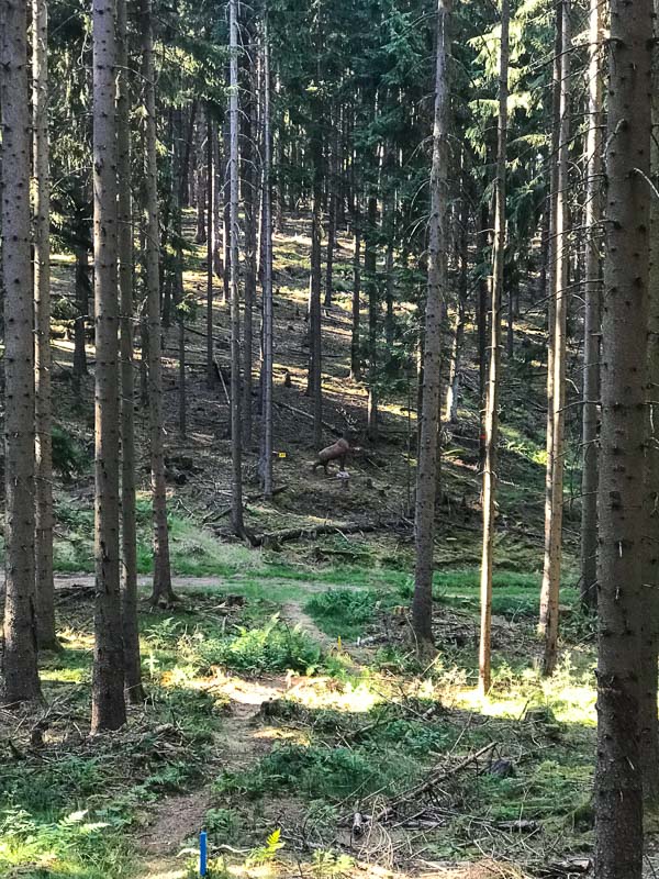 instarch 7630. Juli 2018-bogenschiessen
