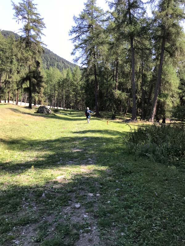 instarch 180826 3024 x 4032 20-bogenschiessen