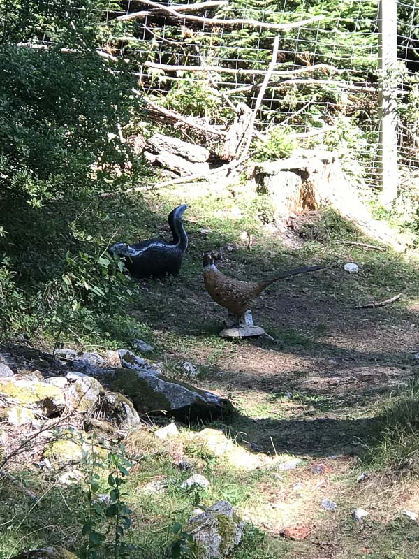 instarch 180826 3024 x 4032 36-bogenschiessen