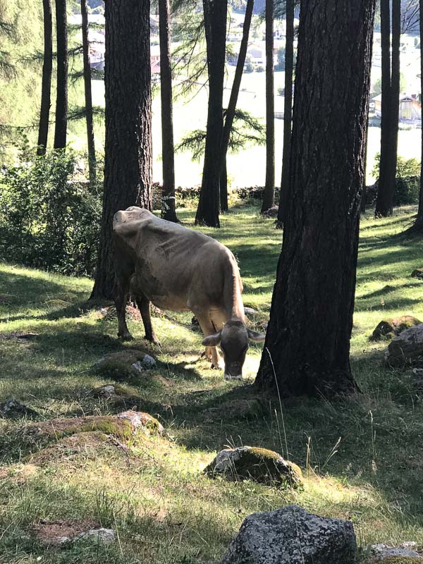 instarch 180826 3024 x 4032 38-bogenschiessen
